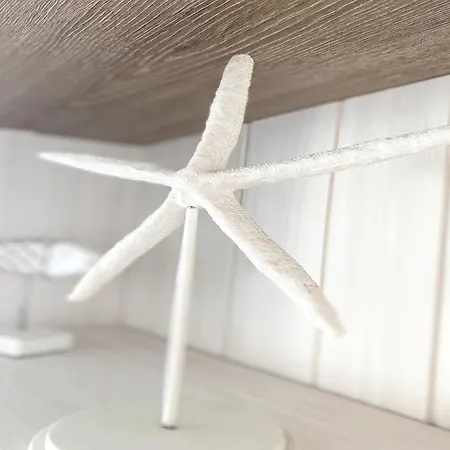 In Belgium With Sea View & Balcony Apartamento