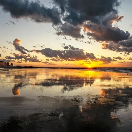 In Belgium With Sea View & Balcony Middelkerke