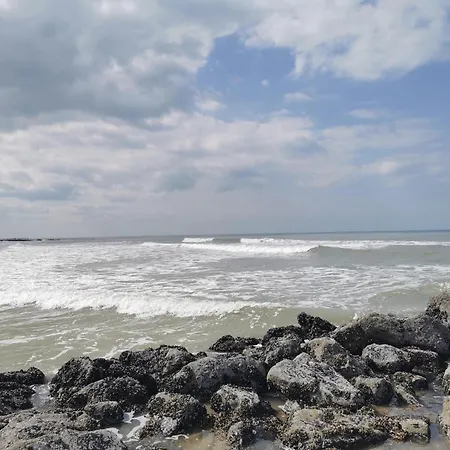 Apartman In Belgium With Sea View & Balcony