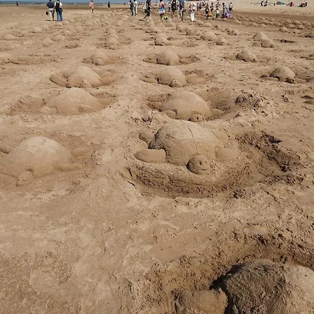 In Belgium With Sea View & Balcony *