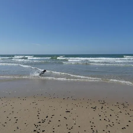 Apartamento In Belgium With Sea View & Balcony *