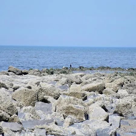 Apartamento In Belgium With Sea View & Balcony