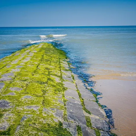 In Belgium With Sea View & Balcony * Middelkerke