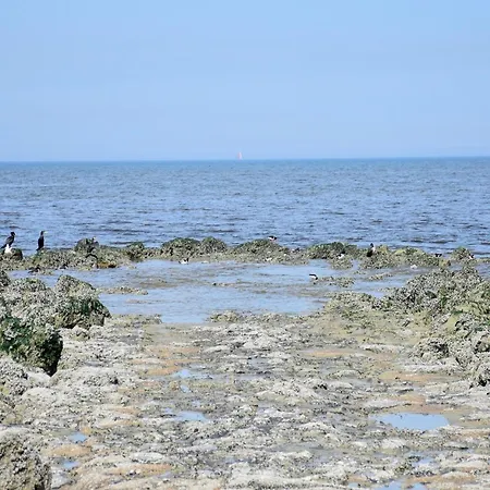 In Belgium With Sea View & Balcony * Middelkerke